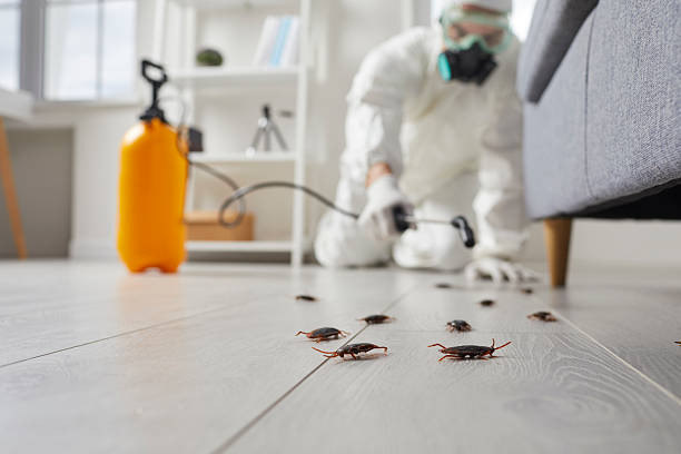 Commercial Kitchen Cockroach Control in Riviera Beach